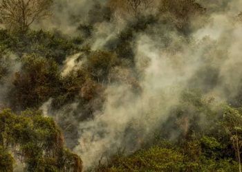 Rondônia declara situação de emergência por conta dos incêndios florestais