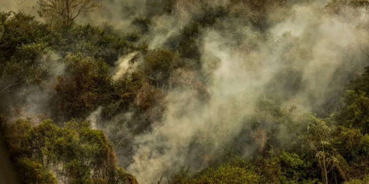 Rondônia declara situação de emergência por conta dos incêndios florestais