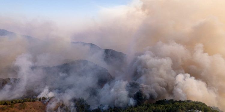 Somente em agosto, Amazônia tem 2,5 milhões de hectares queimados