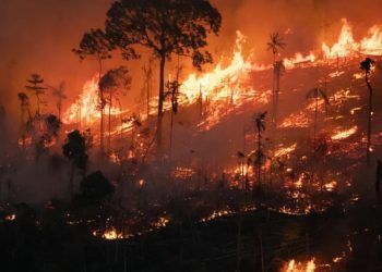 Somente em agosto, Amazônia tem 2,5 milhões de hectares queimados