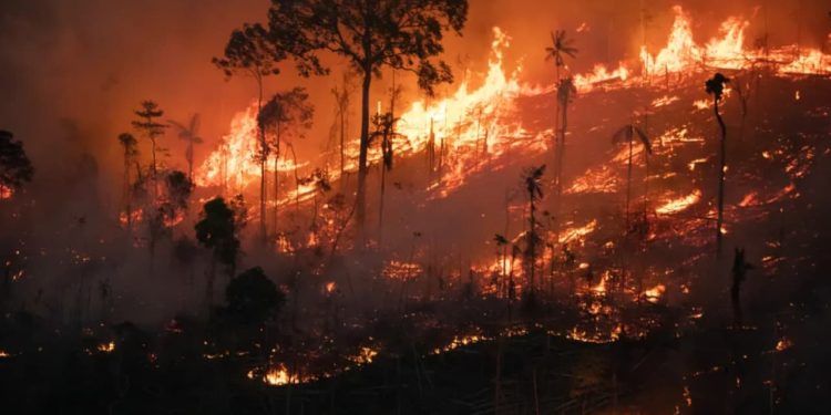 Somente em agosto, Amazônia tem 2,5 milhões de hectares queimados