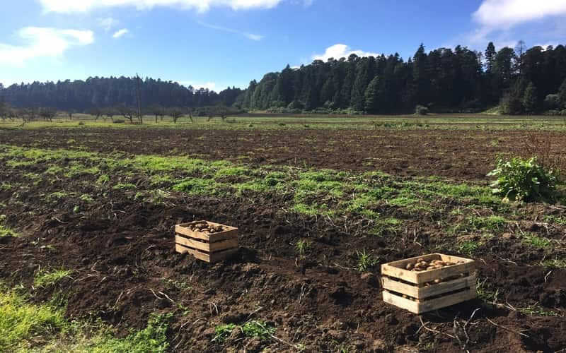 Programa Goiano de Remineralizadores impulsiona agricultura sustentável