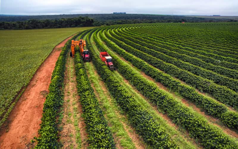 Plano Safra 2023/24: Crédito Rural alcança recorde de R$ 400,7 bilhões