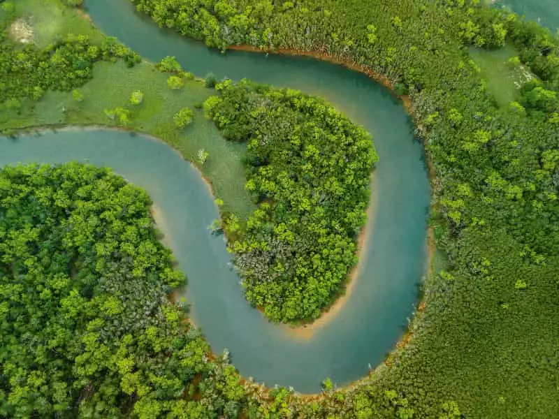 Alertas de desmatamento na Amazônia caem 46% em um ano; confira os dados 3 Alertas de desmatamento