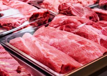 Brasil exporta mais de 267 mil toneladas de carne bovina em Julho