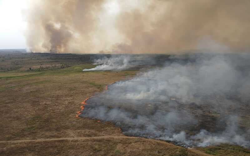 Pantanal: Bombeiros de Goiás retornam após missão de combate a incêndios