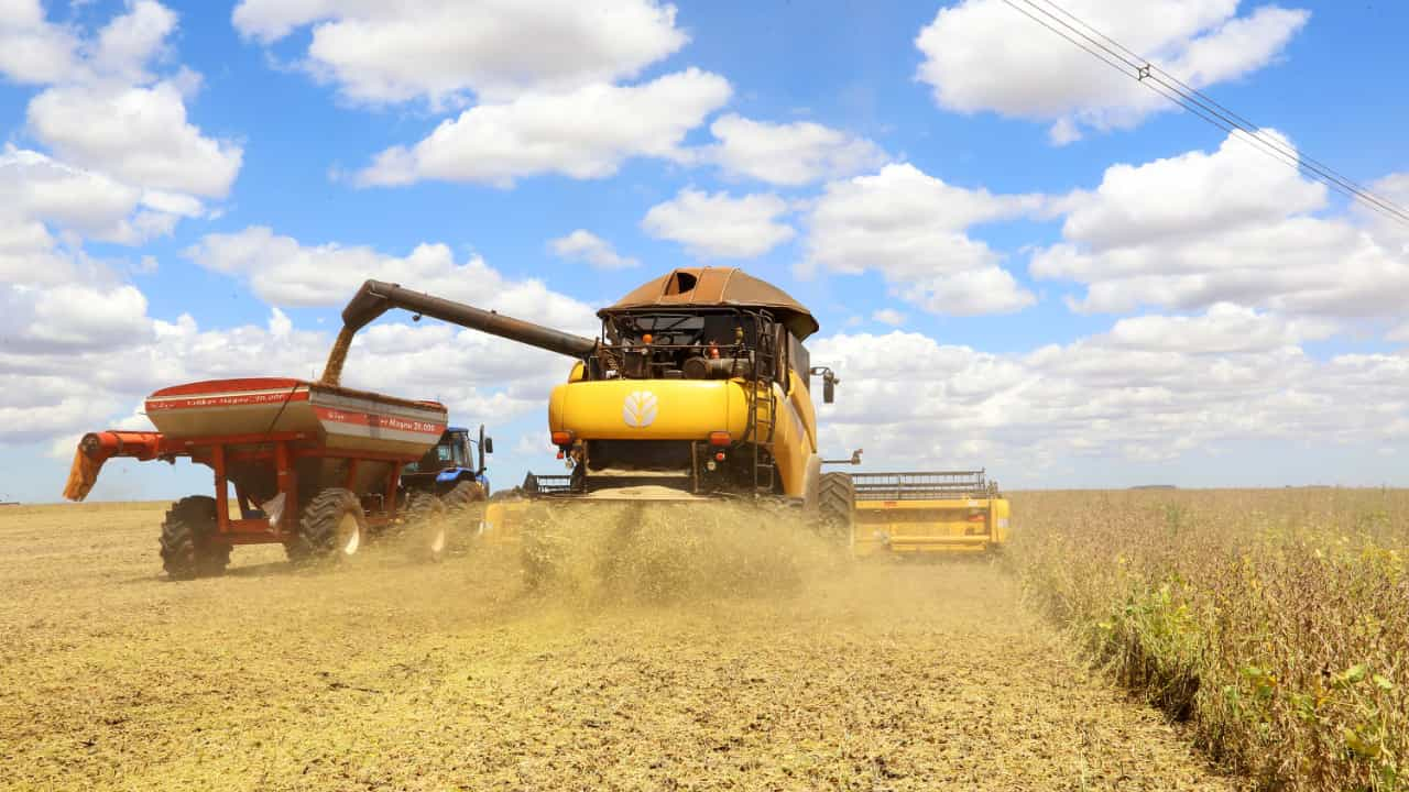 Clima impactou a produtividade principalmente das lavouras de soja e milho. 