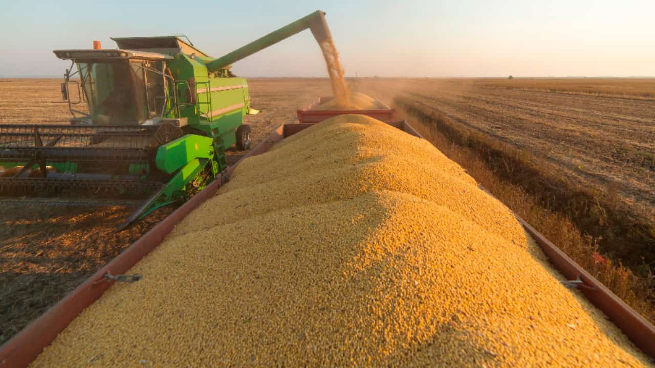Destaque aumento dos embarques de soja, carnes e café. 