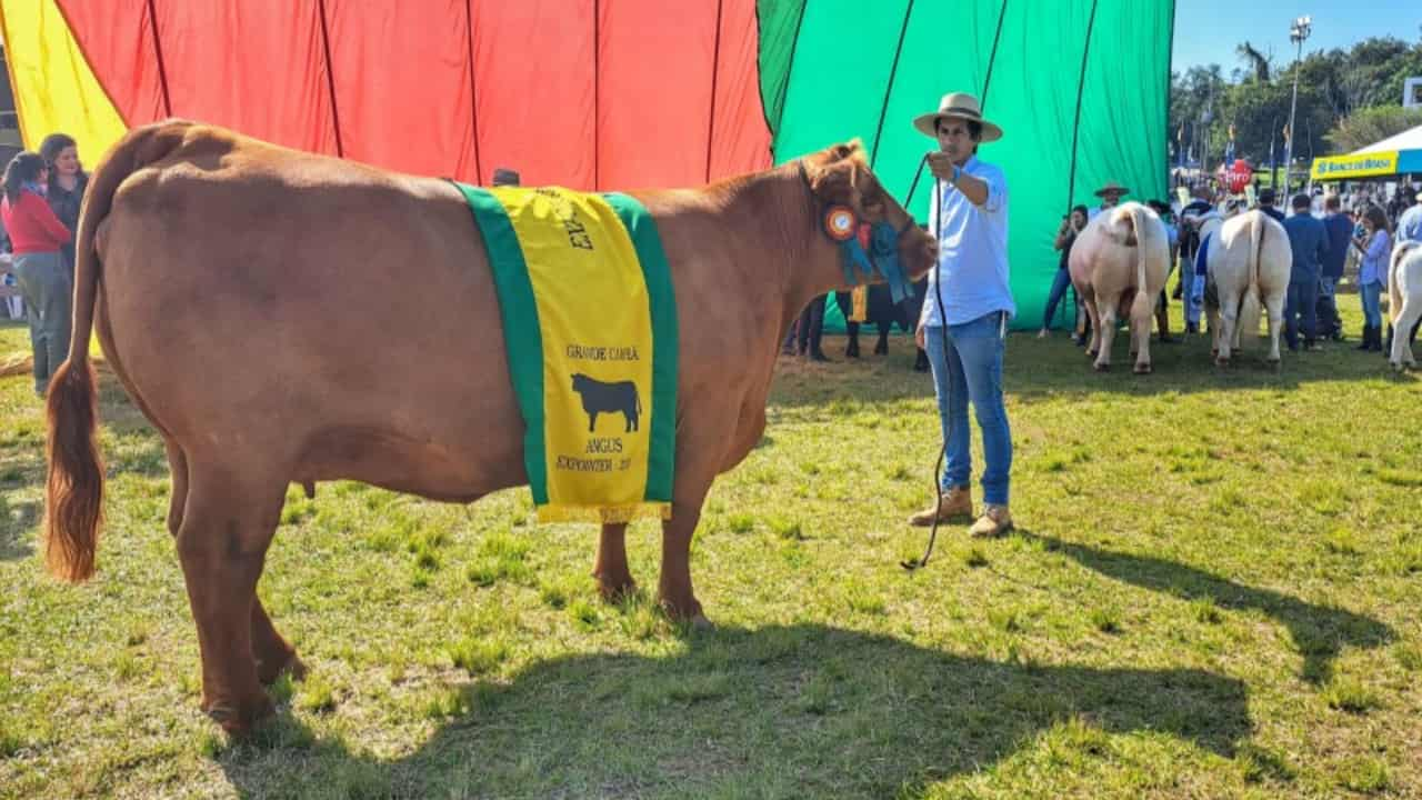 Evento contará com exposição de animais, tecnologia e shows. 