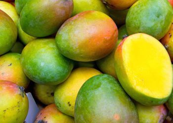 Exportações de frutas alcançam 491,8 mil toneladas.