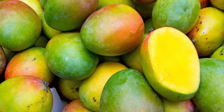 Exportações de frutas alcançam 491,8 mil toneladas.