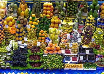 Exportações de frutas brasileiras crescem 5,09% no 1º semestre de 2024