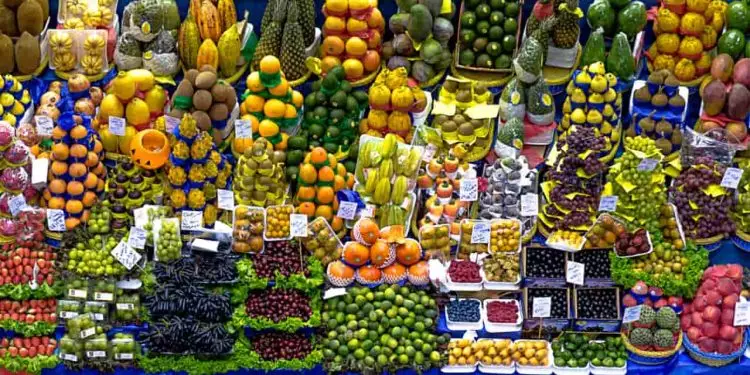 Exportações de frutas brasileiras crescem 5,09% no 1º semestre de 2024