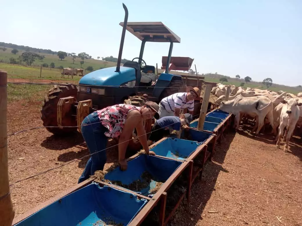 Dia dos Pais: histórias inspiradoras homens que amam o agronegócio