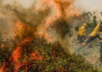 Incêndios no Pantanal: Fogo consome mais de 100 mil hectares em 24 horas