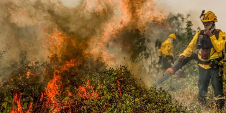 Incêndios no Pantanal: Fogo consome mais de 100 mil hectares em 24 horas