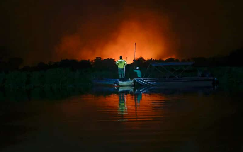 Incêndios no Pantanal: Fogo consome mais de 100 mil hectares em 24 horas