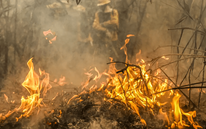 Pantanal: Bombeiros de Goiás retornam após missão de combate a incêndios