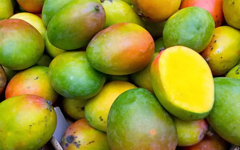 Exportações de frutas brasileiras crescem 5,09% no 1º semestre de 2024