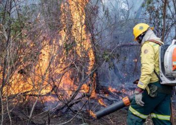 Pantanal: Bombeiros de Goiás retornam após missão de combate a incêndios