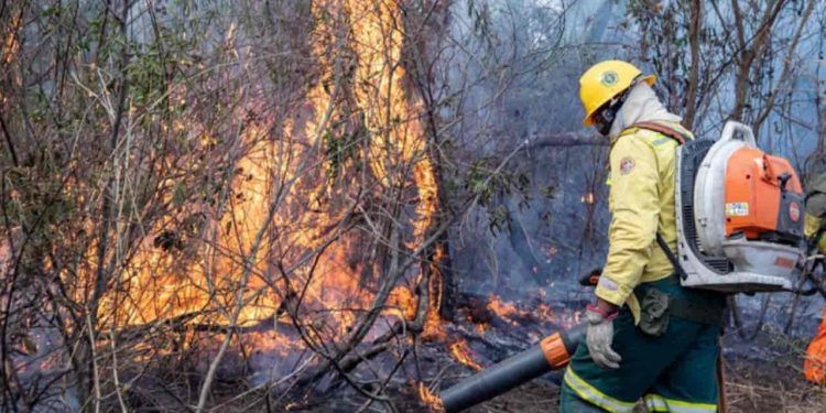 Pantanal: Bombeiros de Goiás retornam após missão de combate a incêndios