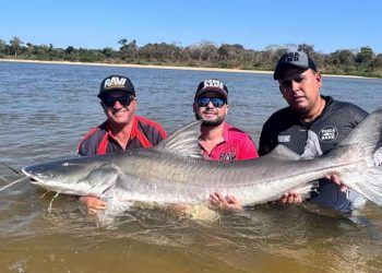 Piraíba gigante: Pescadores pegam peixe de mais de 2 metros no Rio Araguaia