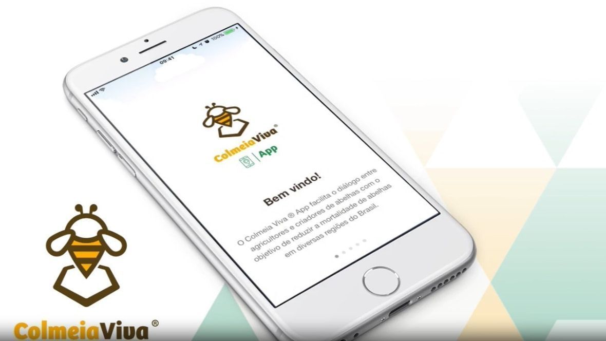 Plataforma Colmeia Viva pode ser baixada no celular. 