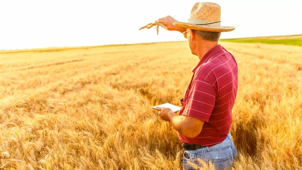 Polo Sebrae Agro traz soluções de gestão, tecnologia e assistência ao produtor 2 Plataforma apresenta gratuitamente cursos, assistência técnica e conteúdo.