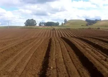 Setembro será de irregularidade de chuva e baixa umidade do ar no Brasil