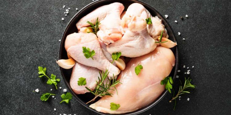 Produção e exportação de carne de frango dever crescer cerca de 2% em 2024