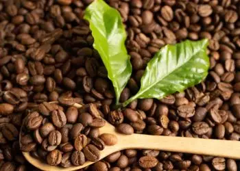 Produção mundial de café deve crescer 5,8% na Safra 2023/24, aponta organização