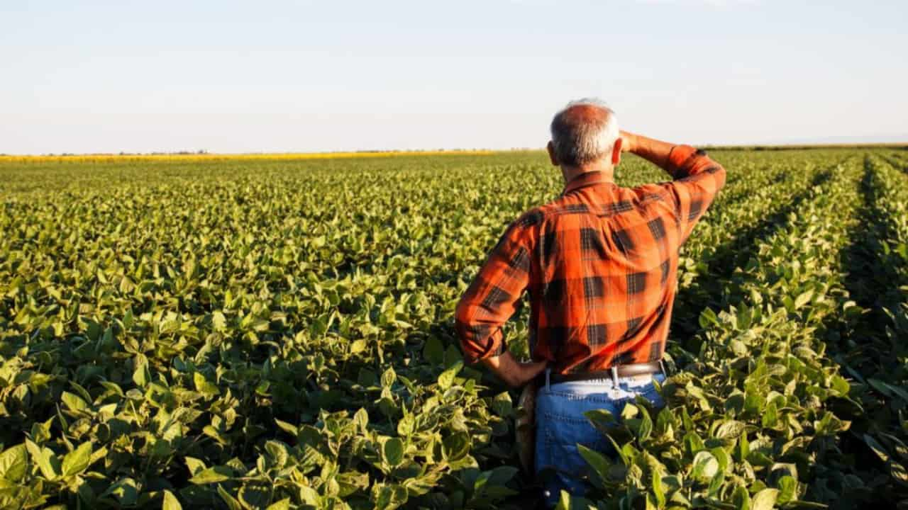 O produtor rural que não declarar ITR no prazo pode pagar multa. 