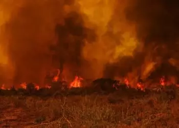 Queimadas causam prejuízos de R$ 22,8 milhões ao agro na Amazônia e Pantanal