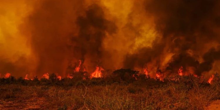 Queimadas causam prejuízos de R$ 22,8 milhões ao agro na Amazônia e Pantanal