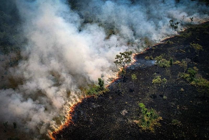 Queimadas na Amazônia