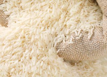 Cadeia produtiva do arroz começa a ter 100% de rastreabilidade