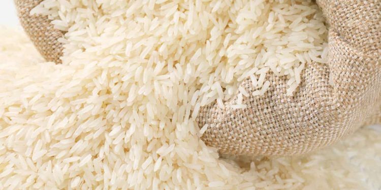 Cadeia produtiva do arroz começa a ter 100% de rastreabilidade