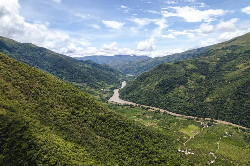 Reflorestamento na Amazônia