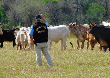 Projeto busca transparência na divulgação de normas da defesa agropecuária