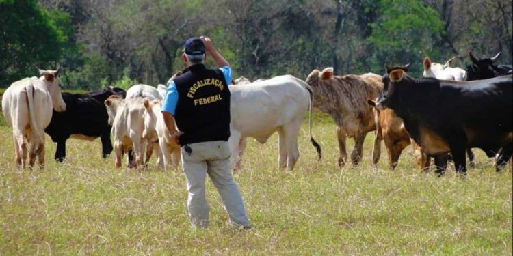 Projeto busca transparência na divulgação de normas da defesa agropecuária