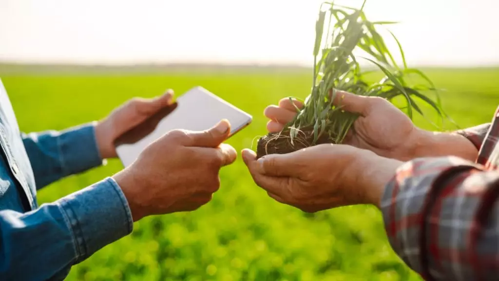 Polo Sebrae Agro traz soluções de gestão, tecnologia e assistência ao produtor