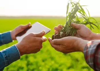 Polo Sebrae Agro traz soluções de gestão, tecnologia e assistência ao produtor