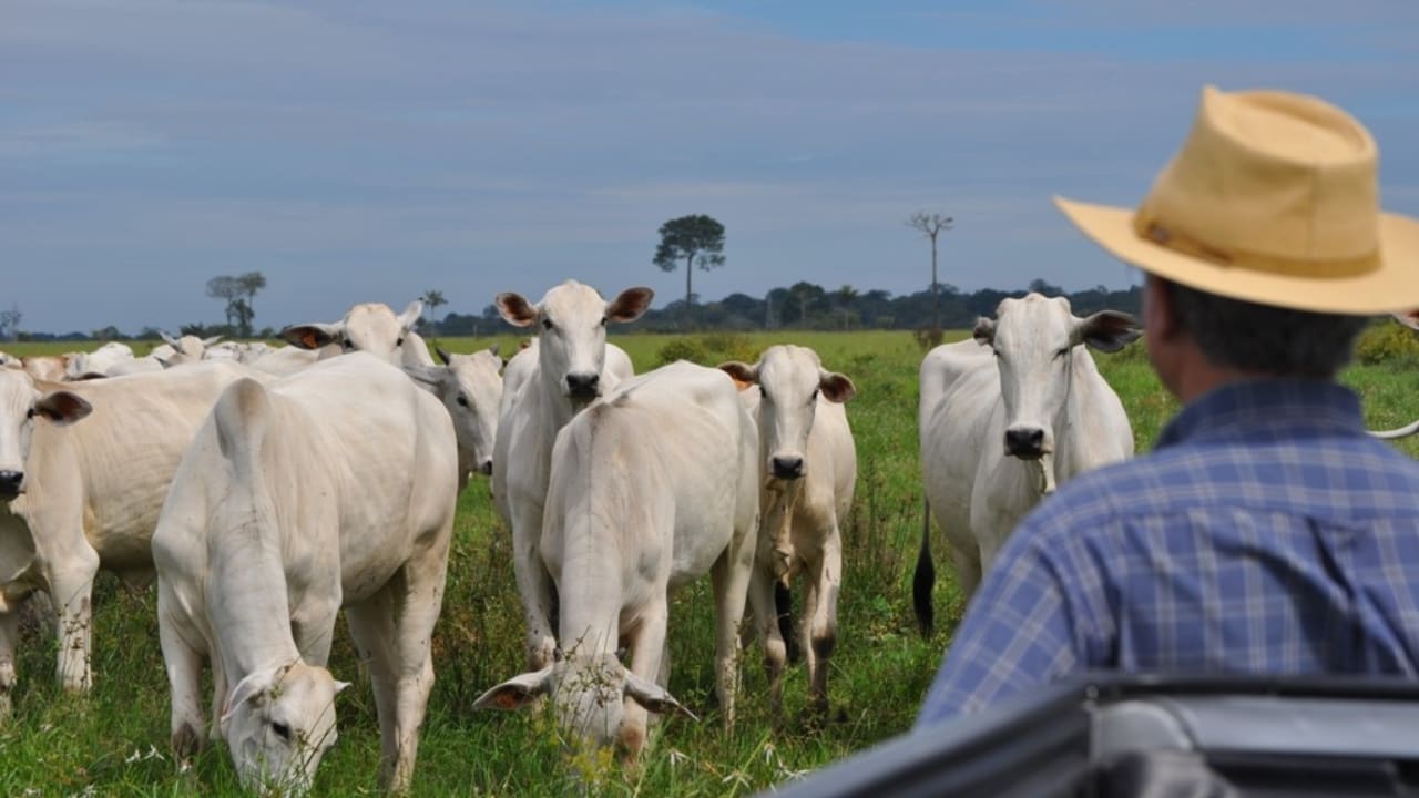 Volume financeiro do agro no mercado de capitais cresce 19,5% em um ano. 