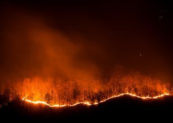 Agronegócio estima prejuízo de R$ 14,7 bilhões com incêndios no Brasil, diz CNA