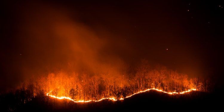 Agronegócio estima prejuízo de R$ 14,7 bilhões com incêndios no Brasil, diz CNA