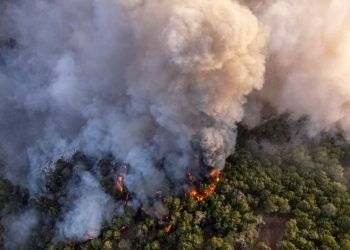 Brasil já registrou 11,39 milhões de hectares atingidos pelo fogo este ano