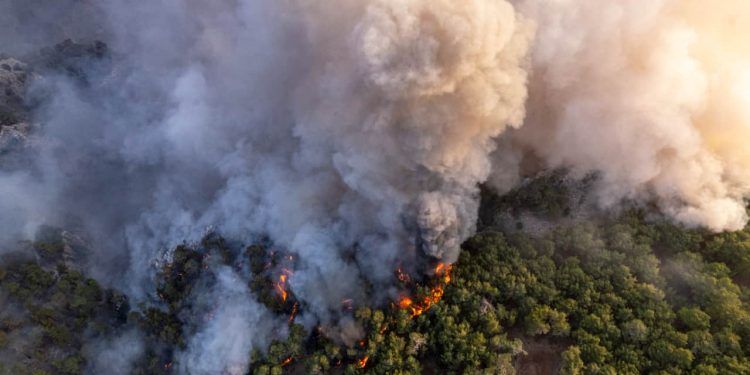 Brasil já registrou 11,39 milhões de hectares atingidos pelo fogo este ano