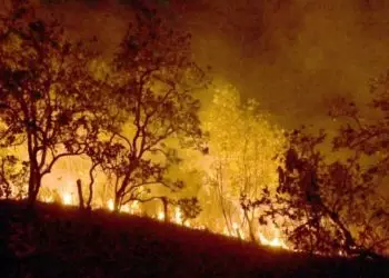 Brasil já registrou mais de 154 mil focos de calor este ano, diz Inpe