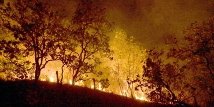 Brasil já registrou mais de 154 mil focos de calor este ano, diz Inpe