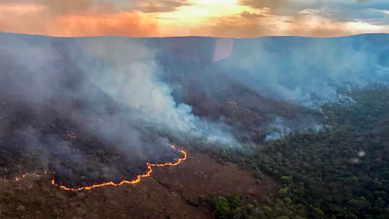 Brasil representa metade dos focos de incêndios da América do Sul em 2024.